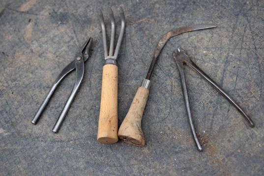 Pflege_Schale_Erde_Upsourcen Pw_3