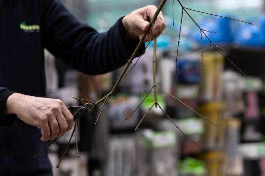 Pflege_Schale_Erde_Upsourcen Pw_5