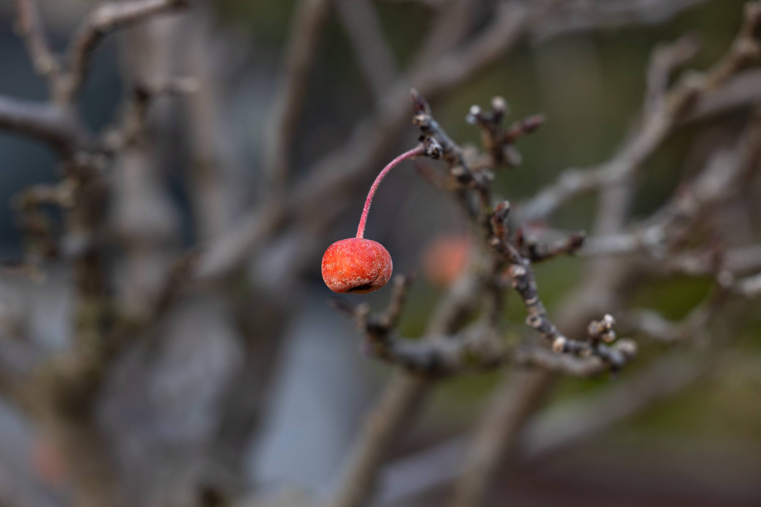 EINZIGARTIGES BRAUCHT PFLEGE ZUM WACHSEN